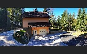 Apartmaji Velikonja